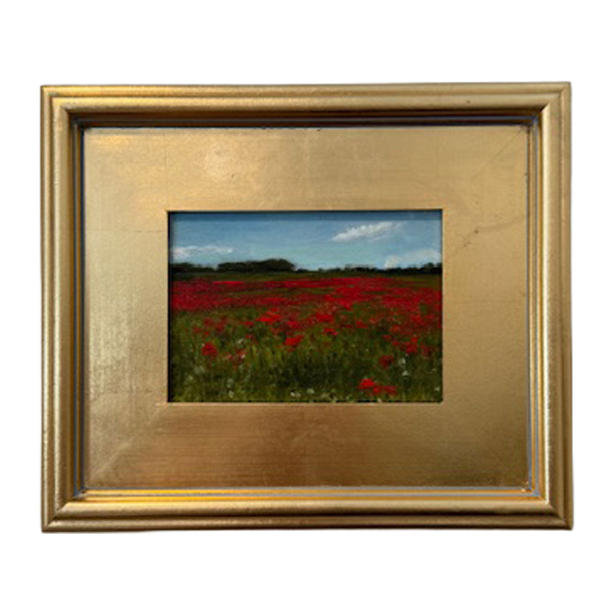 Poppies