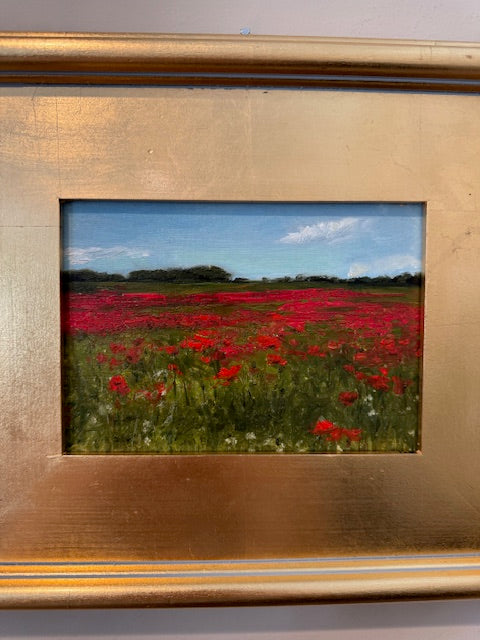 Poppies