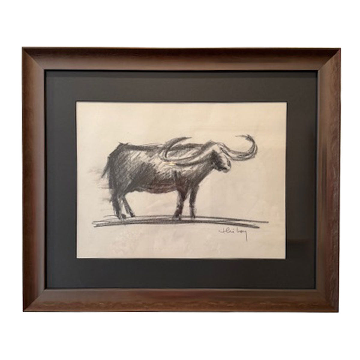 Longhorn